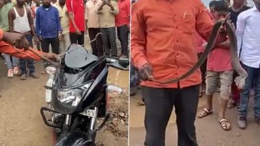 Video: Cobra Found Hiding in Bike Running on Nashik Road, Rescued